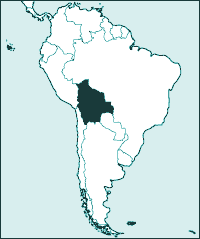 bolivia.gif