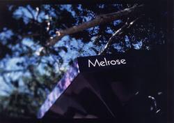 melrose sign